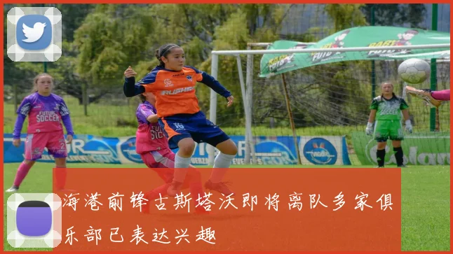 海港前锋古斯塔沃即将离队多家俱乐部已表达兴趣