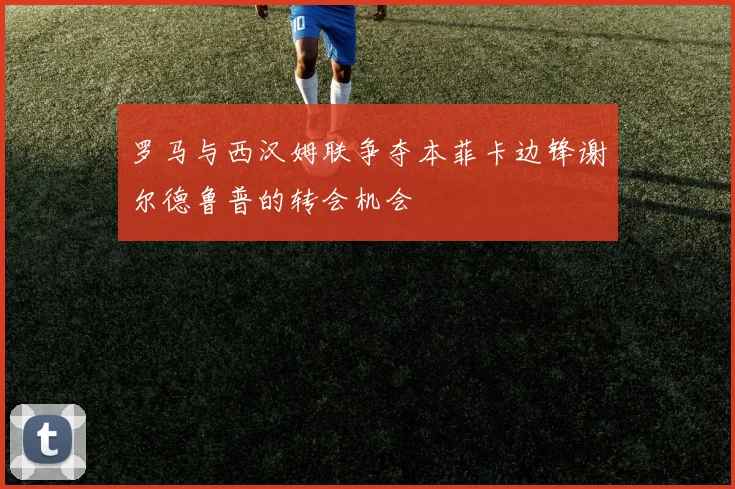 罗马与西汉姆联争夺本菲卡边锋谢尔德鲁普的转会机会