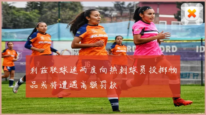 利兹联球迷两度向热刺球员投掷物品或将遭遇高额罚款