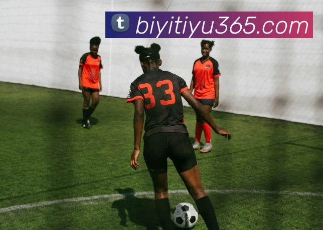 必一体育平台生态图